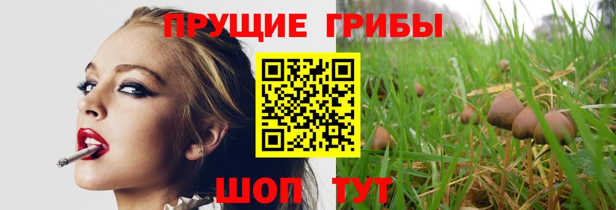 Псилоцибиновые грибы мухоморы  Псилоцибиновые грибы прущие грибы  Ахтубинск  Вход с VPN 
