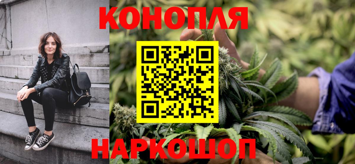 Каннабис SATIVA & INDICA  Бошки Шишки OG Kush  Марихуана план  Ахтубинск  Вход с VPN  Каннабис планчик 